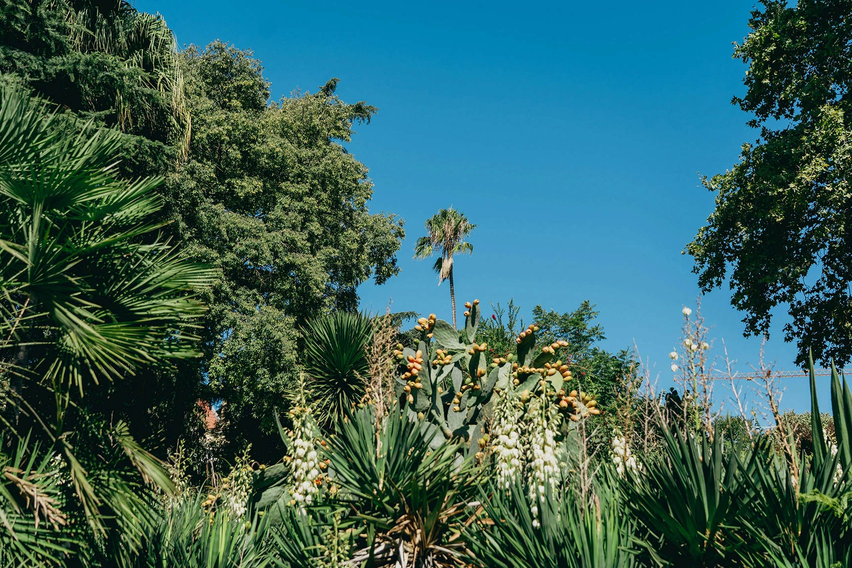 Staying in Estrela, Lisbon: The Quiet Corner That Works