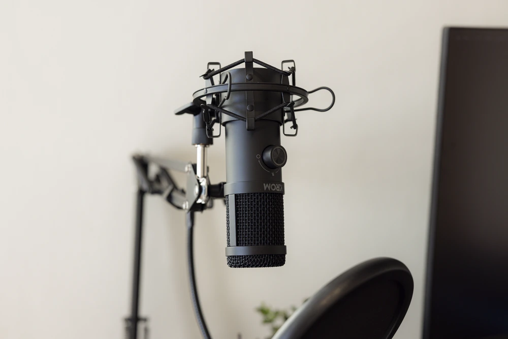 Studio Microphone